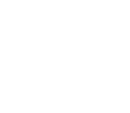 VindexCouncil, Vindex Council